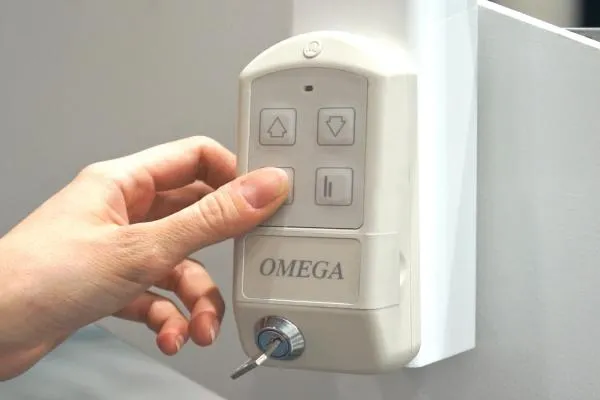 Omega 6